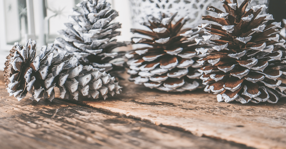 Merry Christmas!